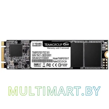 SSD диск Team MS30 1TB (TM8PS7001T0C101)